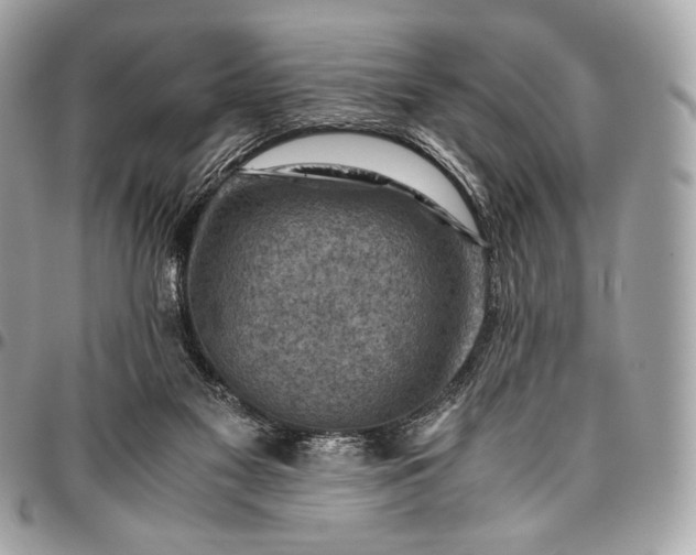 X0000096440117200802071757