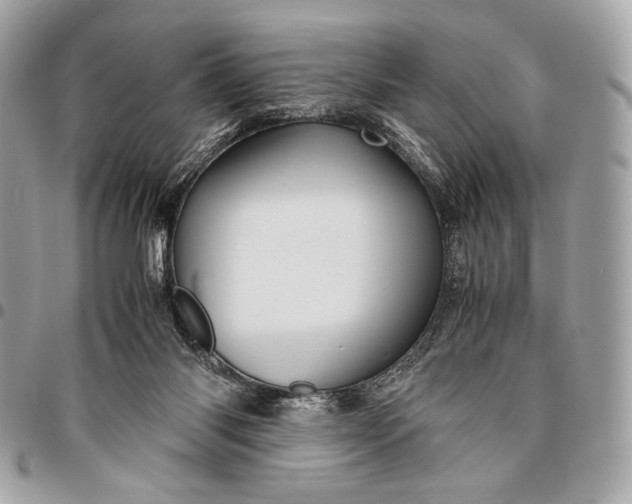 X0000096440118200802071757