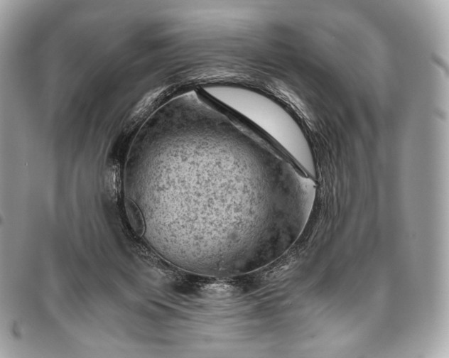 X0000096440119200802071757