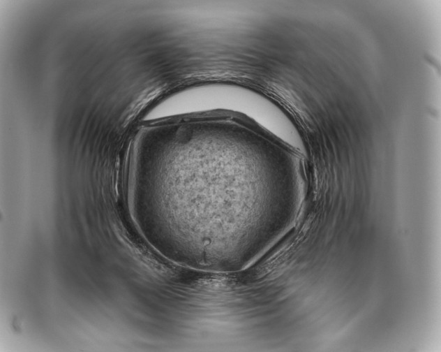 X0000096440120200802071757