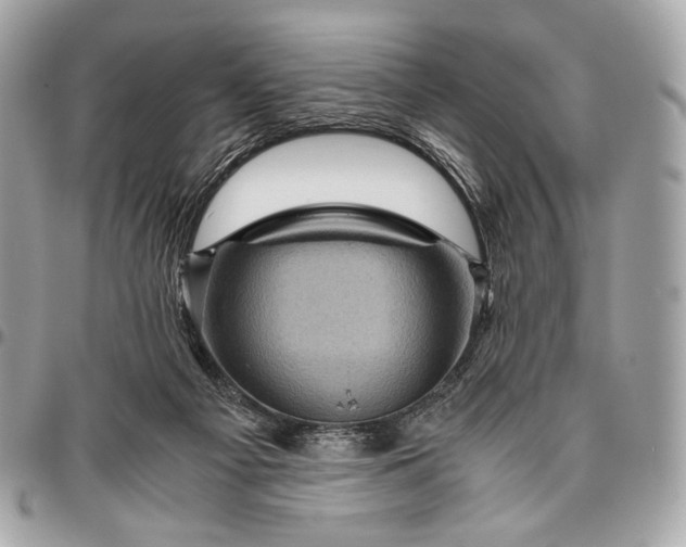 X0000096440121200802071757