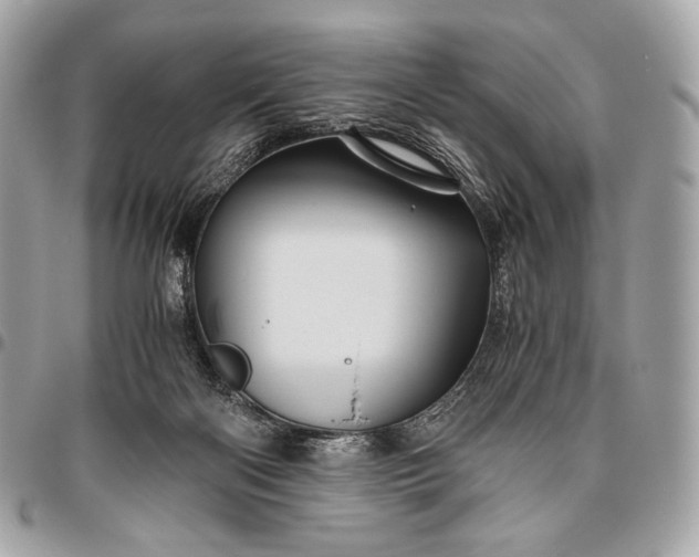 X0000096440122200802071757