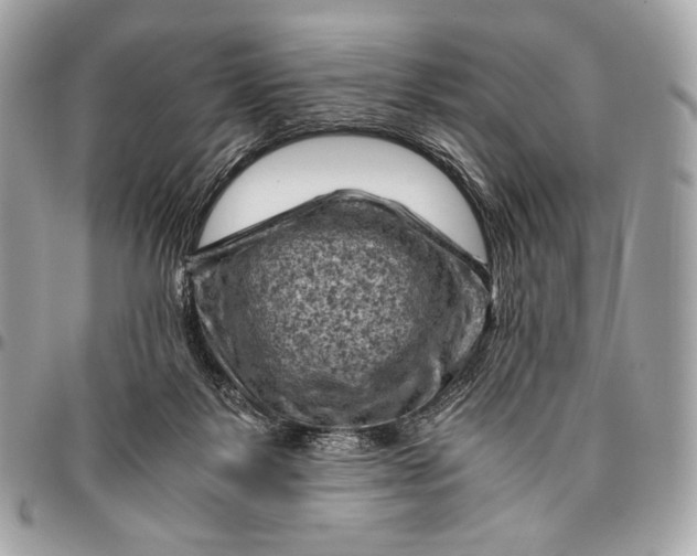 X0000096440123200802071757