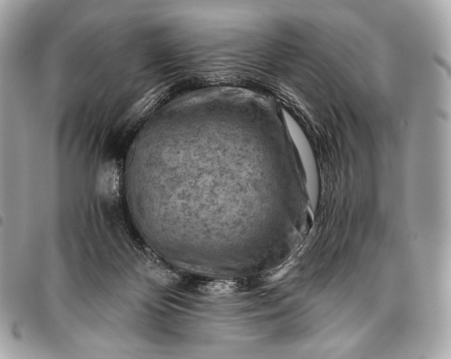 X0000096440124200802071757