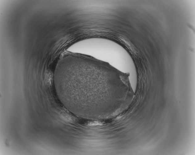 X0000096440125200802071757