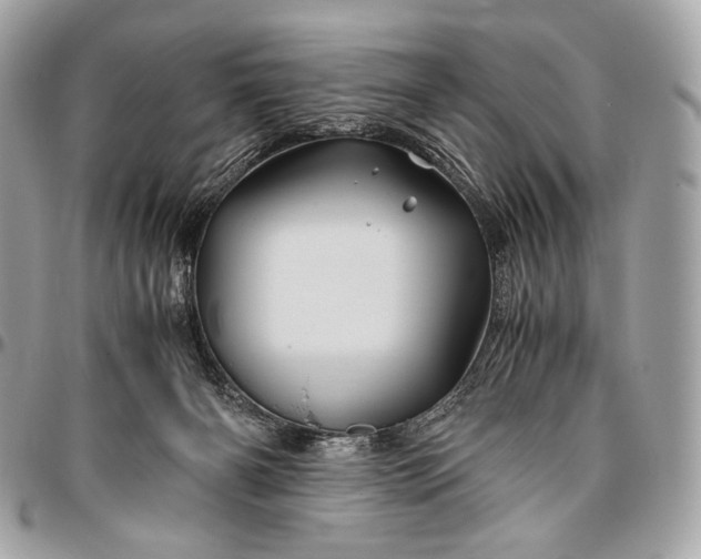 X0000096440126200802071757