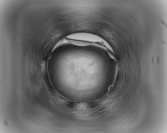 X0000096440127200802071757