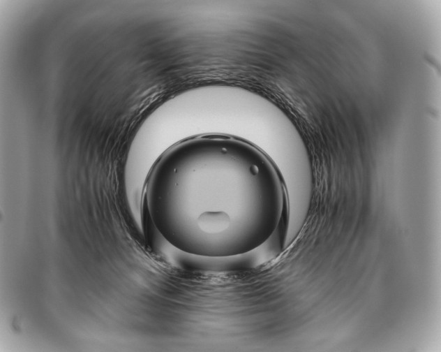 X0000096440128200802071757