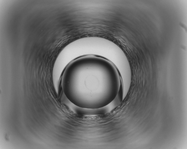 X0000096440129200802071757