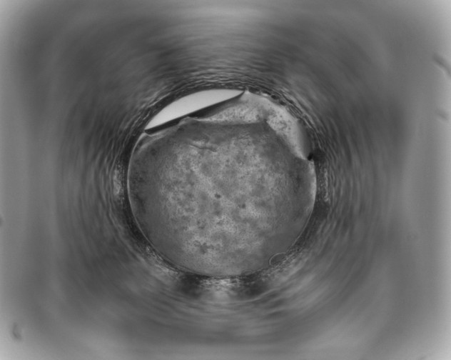 X0000096440131200802071757