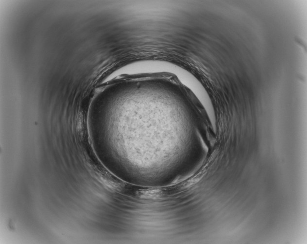 X0000096440132200802071757