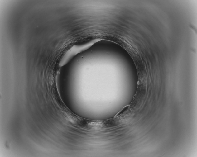 X0000096440133200802071757