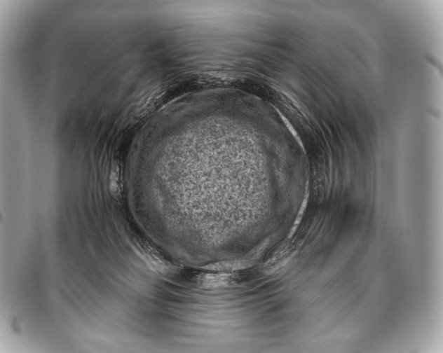 X0000096440134200802071757