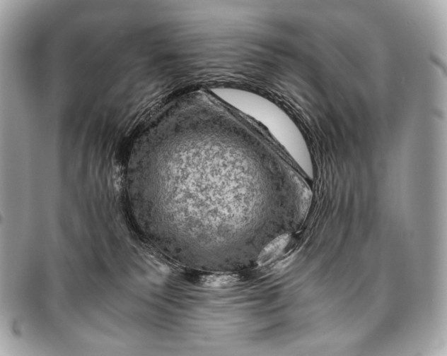 X0000096440135200802071757