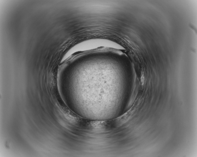 X0000096440136200802071757