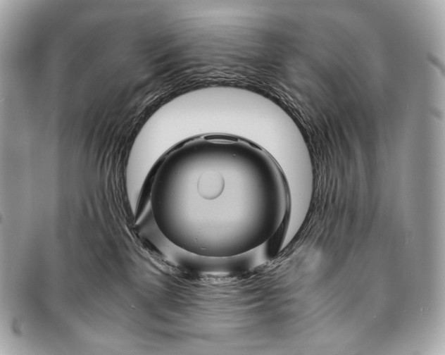 X0000096440137200802071757