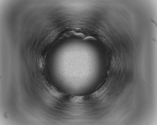 X0000096440138200802071757