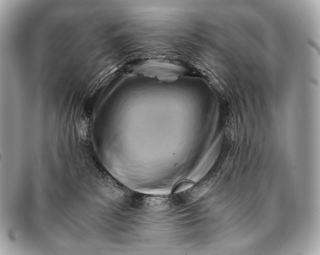 X0000096440139200802071757