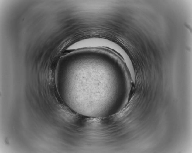 X0000096440140200802071757