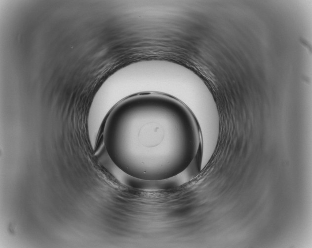 X0000096440141200802071757