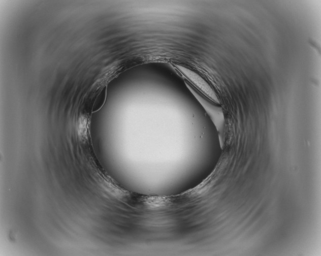 X0000096440142200802071757