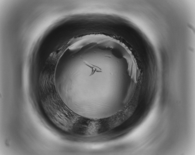 X0000096440143200802071757