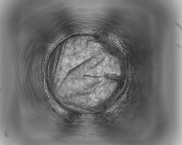 X0000096440145200802071756