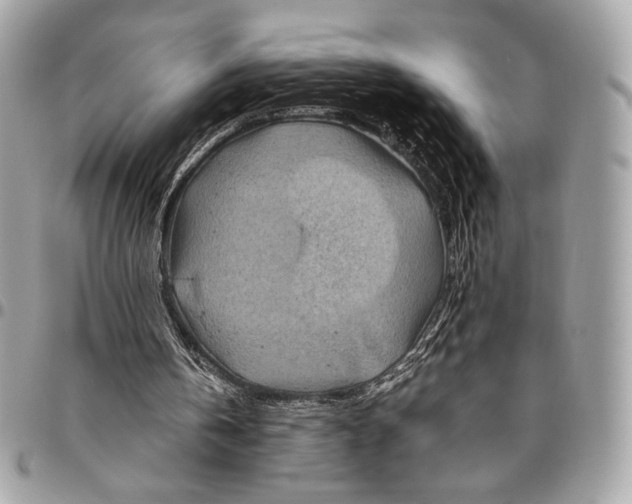 X0000096440146200802071756