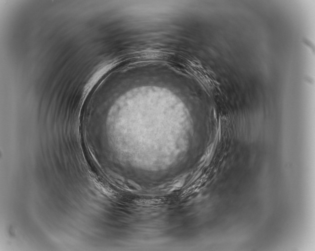 X0000096440147200802071756