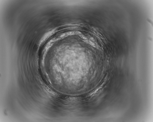 X0000096440149200802071756