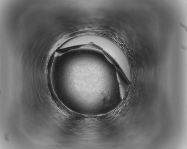 X0000096440150200802071756