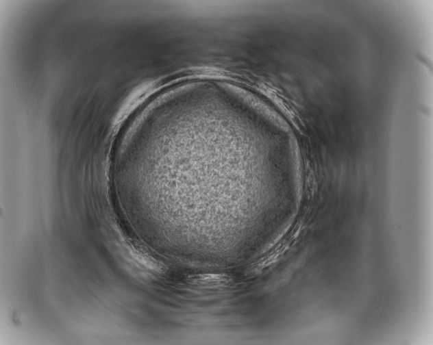 X0000096440151200802071756