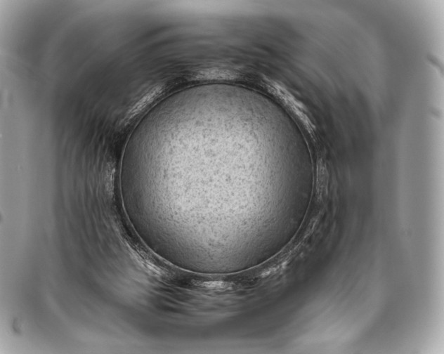 X0000096440153200802071756