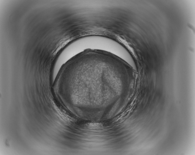 X0000096440154200802071756