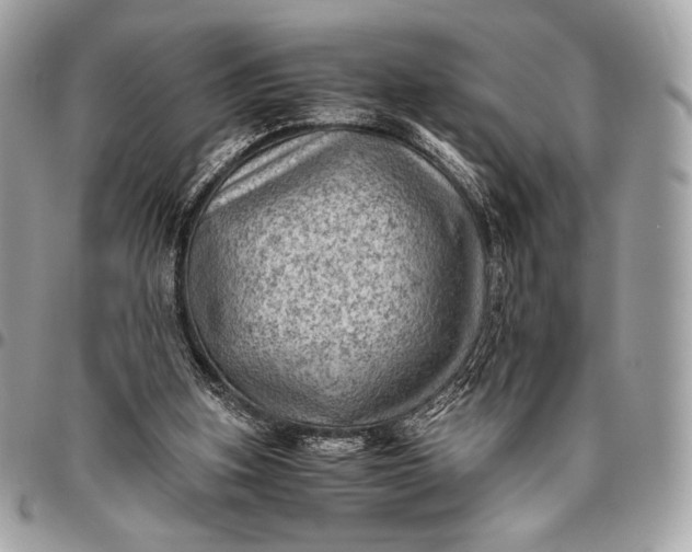 X0000096440155200802071756