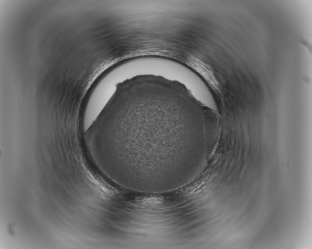 X0000096440156200802071756