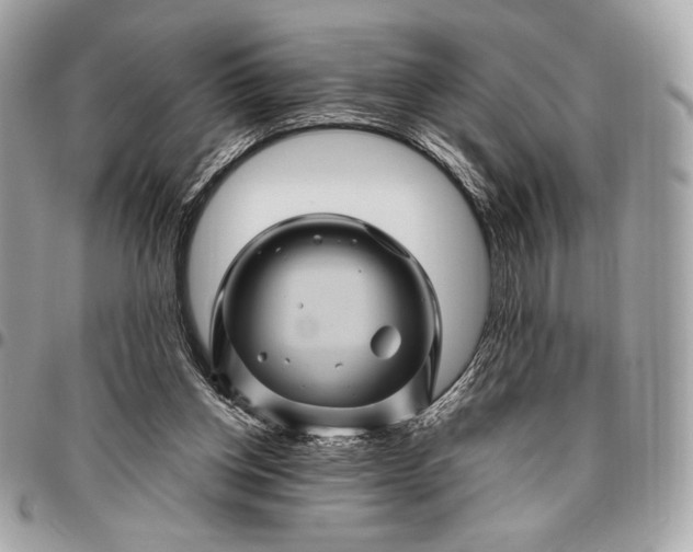 X0000096440158200802071756