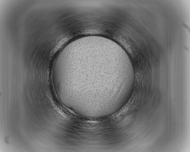 X0000096440159200802071756