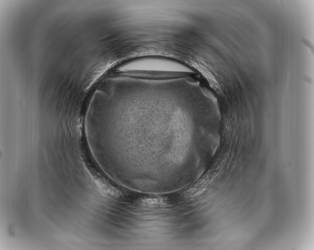 X0000096440160200802071756