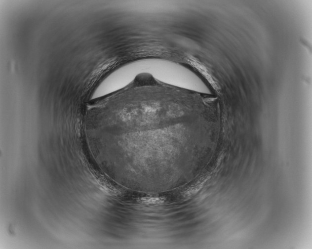 X0000096440161200802071756