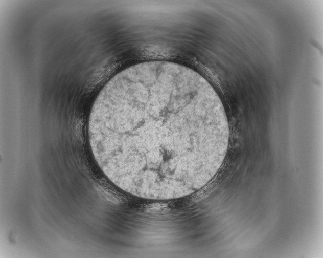 X0000096440162200802071756