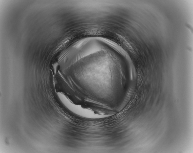 X0000096440163200802071756