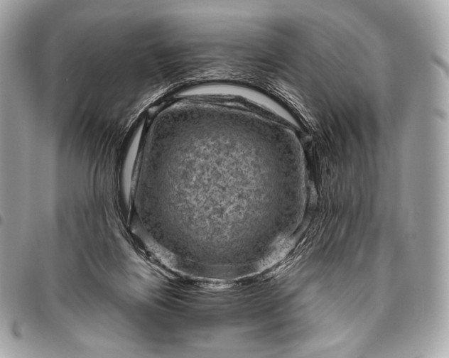 X0000096440164200802071756