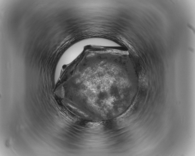 X0000096440170200802071756