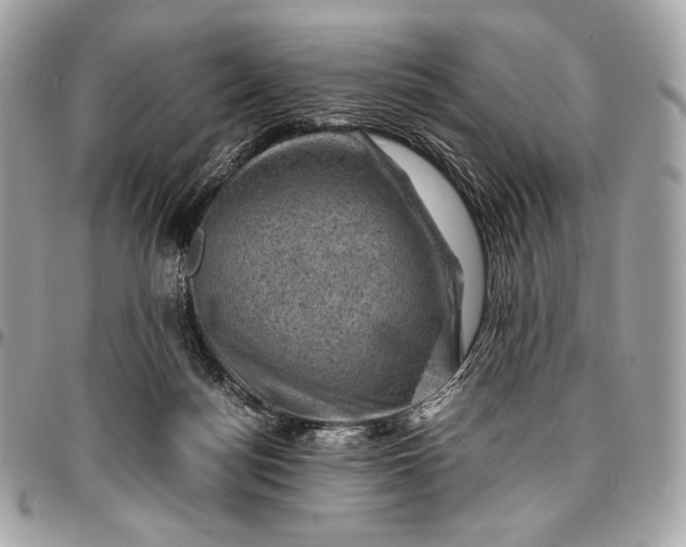 X0000096440172200802071756