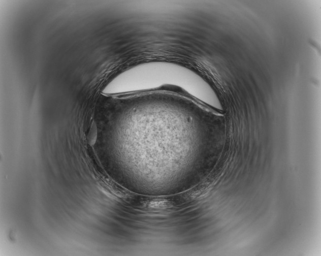 X0000096440173200802071756