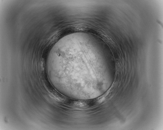 X0000096440174200802071756