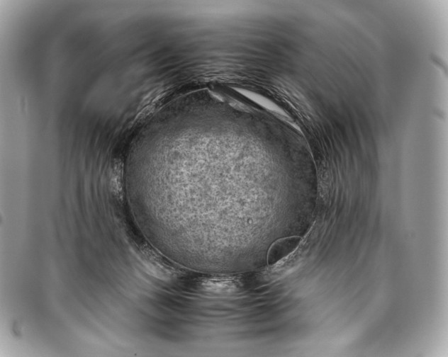 X0000096440175200802071756