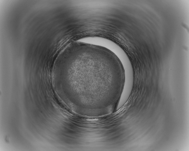 X0000096440176200802071756