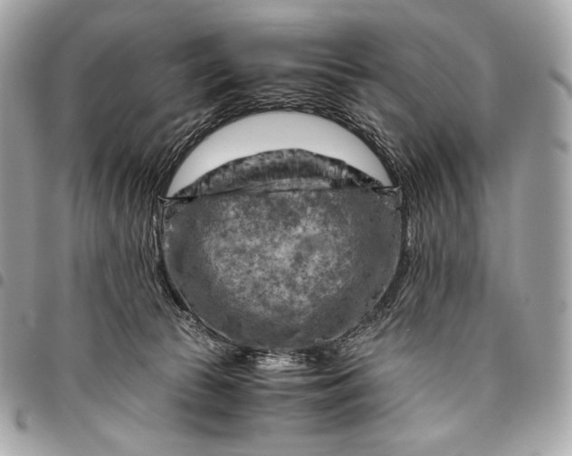 X0000096440177200802071756